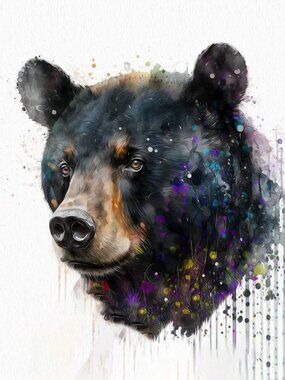 16x20 Black Bear Fantasy Wall Art Watercolor Oil Painting Poster